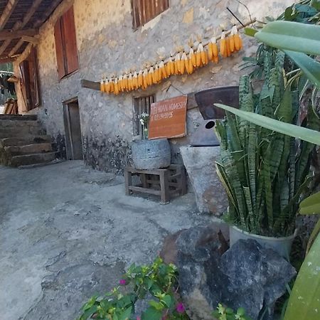 קאו באנג Trieu Hoan Homestay מראה חיצוני תמונה