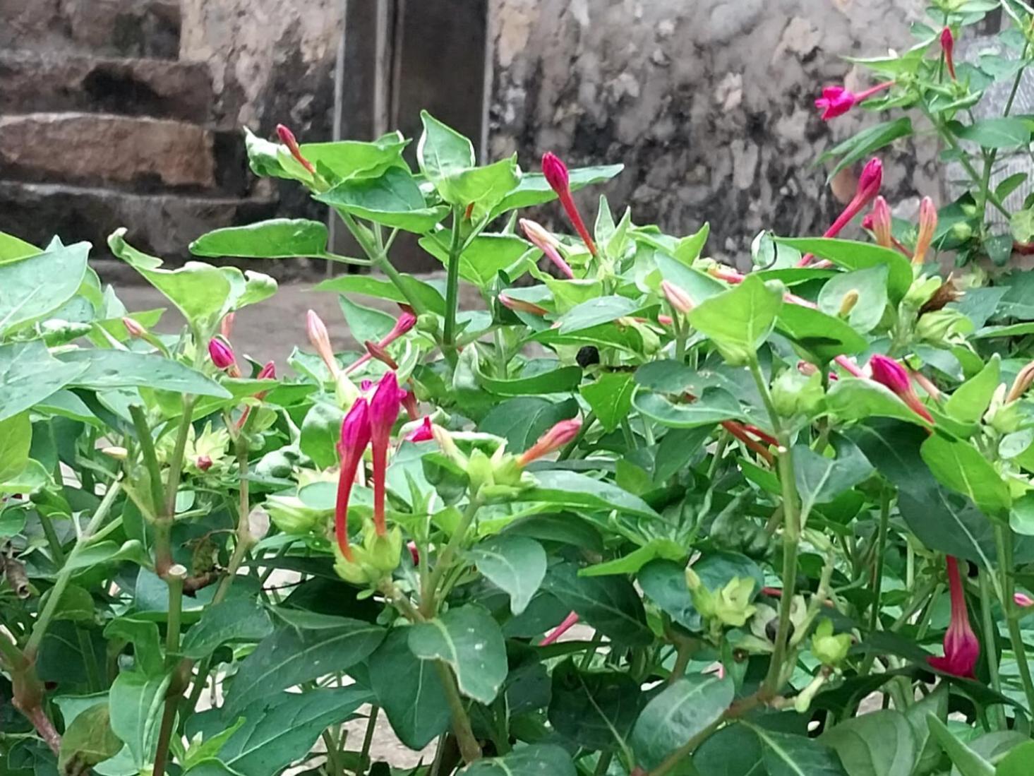 קאו באנג Trieu Hoan Homestay מראה חיצוני תמונה