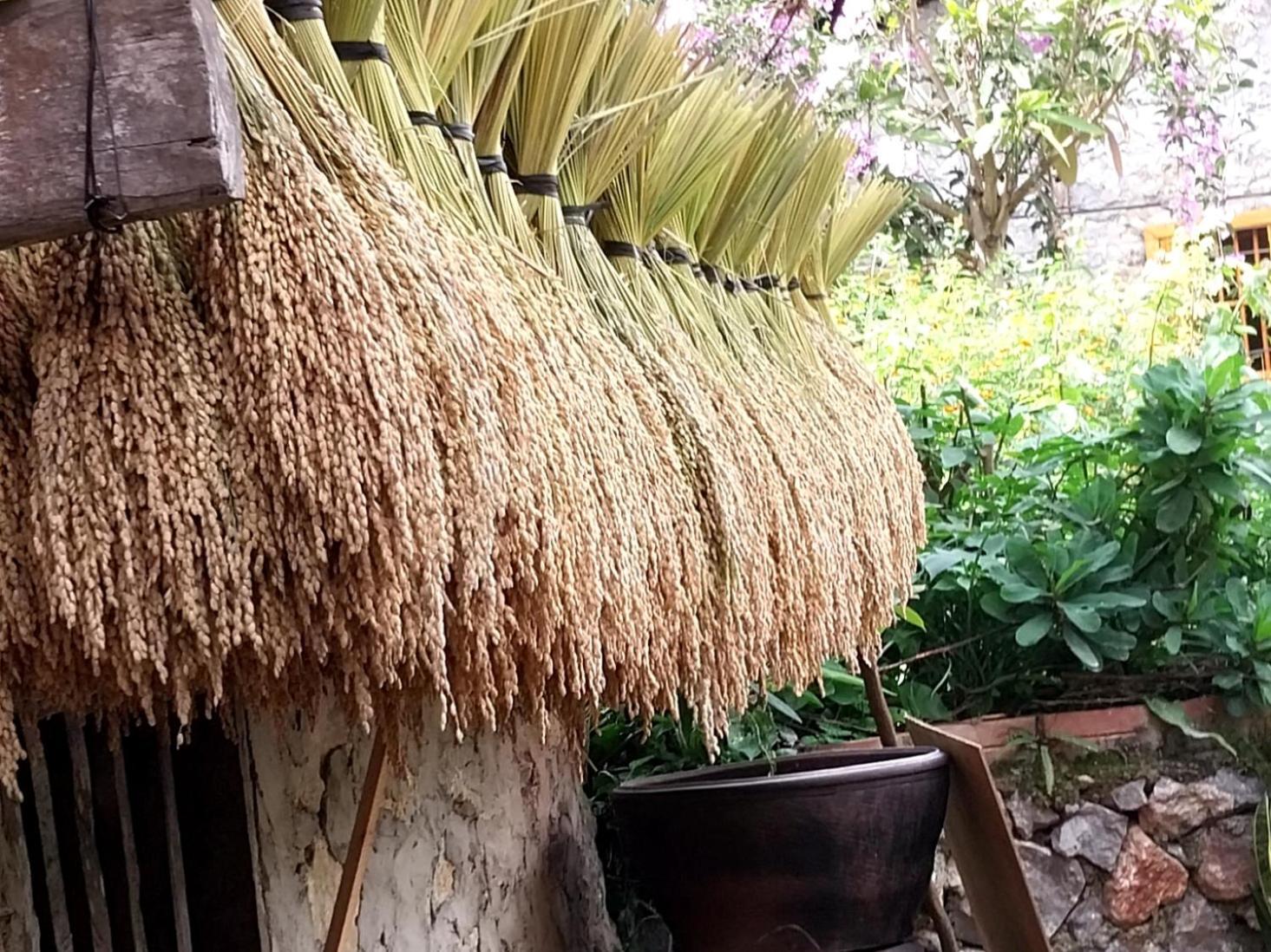 קאו באנג Trieu Hoan Homestay מראה חיצוני תמונה